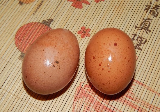 куриные яйца
